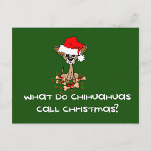 Cartes Pour Fêtes Annuelles Chihuahua Chien Noël