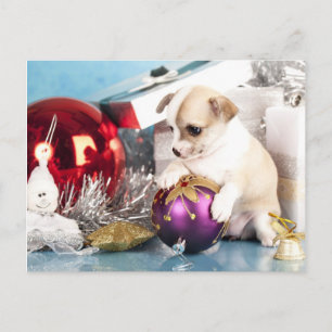 Cartes Pour Fêtes Annuelles Chihuahua chiot tenant le bal de Noël