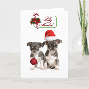 Cartes Pour Fêtes Annuelles Chihuahua Chipies de Noël
