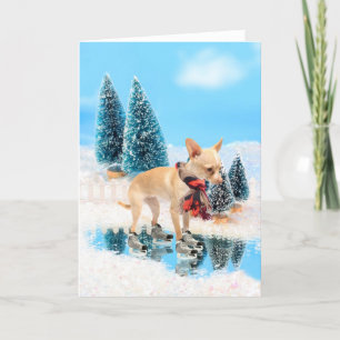 Cartes Pour Fêtes Annuelles Chihuahua drôle avec foulard et patins