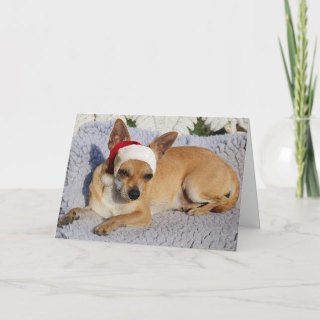 Cartes Pour Fêtes Annuelles Chihuahua Père Noël (Devant)