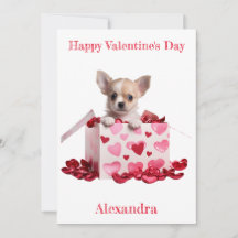 Chihuahua Pup Personnalisé Coeurs roses sur Box Va