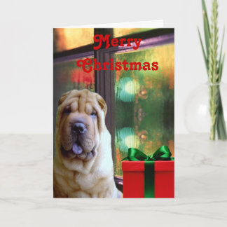 Cartes Pour Fêtes Annuelles China Shar-pei Christmas Cards