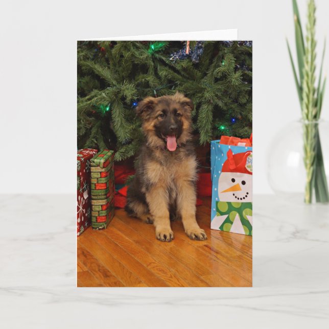 Cartes Pour Fêtes Annuelles Chiot berger allemand à Noël (Devant)