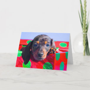 Cartes Pour Fêtes Annuelles Chiot Dachshund dans la boîte cadeau
