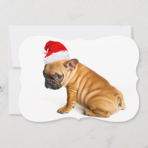 Cartes Pour Fêtes Annuelles Chiot de bouledogue français utilisant un