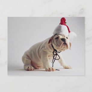 Cartes Pour Fêtes Annuelles Chiot de bouledogue utilisant le casquette de Père