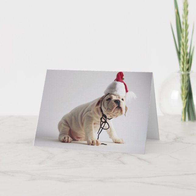 Cartes Pour Fêtes Annuelles Chiot de bouledogue utilisant le casquette de Père (Devant)