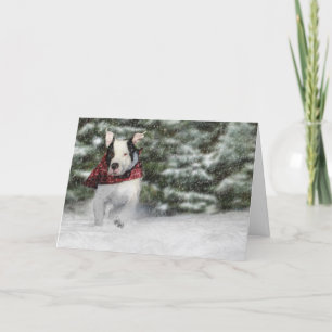 Cartes Pour Fêtes Annuelles Chiot de délivrance de bouledogue se précipitant