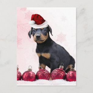 Cartes Pour Fêtes Annuelles Chiot de dobermann de Noël