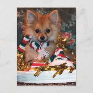 Cartes Pour Fêtes Annuelles Chiot de Noël
