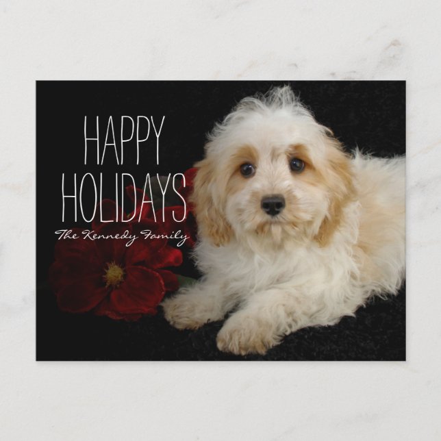 Cartes Pour Fêtes Annuelles Chiot de Noël Cavachon (Devant)
