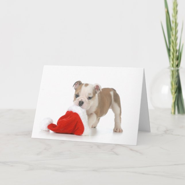 Cartes Pour Fêtes Annuelles Chiot de Noël - chiot anglais de bouledogue (Devant)