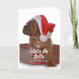 Cartes Pour Fêtes Annuelles Chiot de Noël comme Père Noël