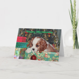 Cartes Pour Fêtes Annuelles Chiot de Noël de Blenheim