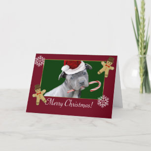 Cartes Pour Fêtes Annuelles Chiot de Noël Pitbull