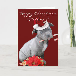 Cartes Pour Fêtes Annuelles Chiot de Noël Pitbull