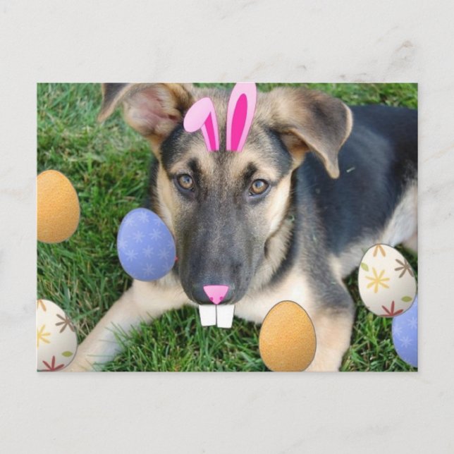 Cartes Pour Fêtes Annuelles Chiot de Pâques allemand (Devant)