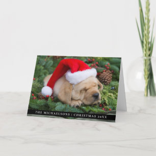 Cartes Pour Fêtes Annuelles Chiot de rétritrice du Labrador endormi avec chap