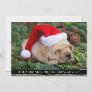 Cartes Pour Fêtes Annuelles Chiot de rétritrice du Labrador endormi avec chap