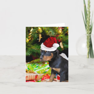 Cartes Pour Fêtes Annuelles Chiot de rottweiler de Noël