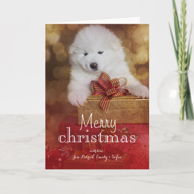 Cartes Pour Fêtes Annuelles Chiot de Samoyed avec des cadeaux de Noël (Devant)