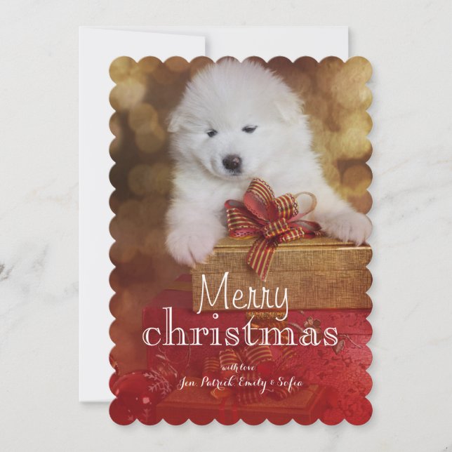 Cartes Pour Fêtes Annuelles Chiot de Samoyed avec des cadeaux de Noël (Devant)