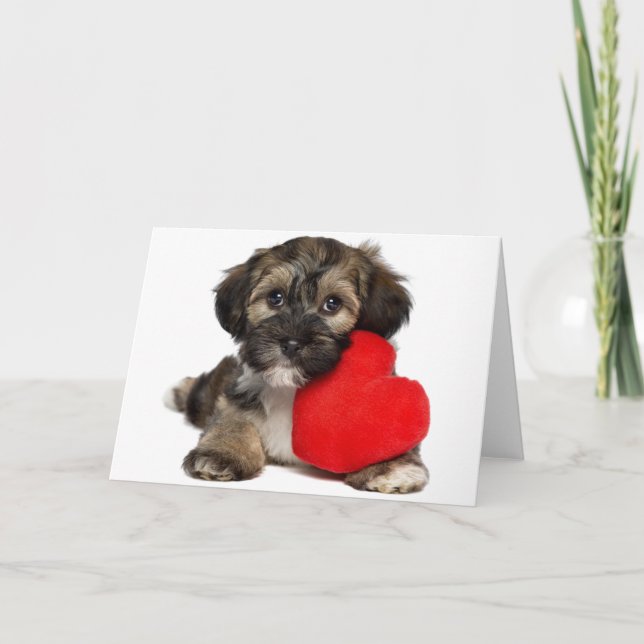 Cartes Pour Fêtes Annuelles Chiot de Valentine Havanese d'amant (Devant)