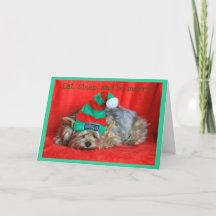 Chiot endormi portant un Casquette Elf