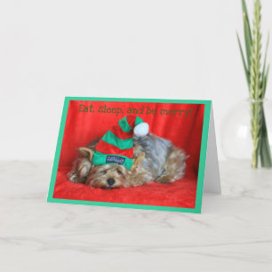 Cartes Pour Fêtes Annuelles Chiot endormi portant un Casquette Elf
