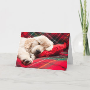 Cartes Pour Fêtes Annuelles Chiot endormi sur du plaid