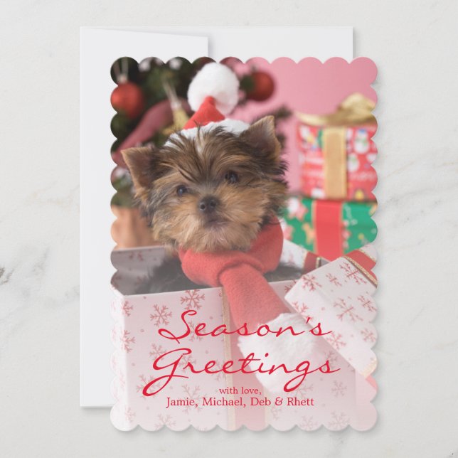 Cartes Pour Fêtes Annuelles Chiot et Noël 2 de Yorkshire Terrier (Devant)