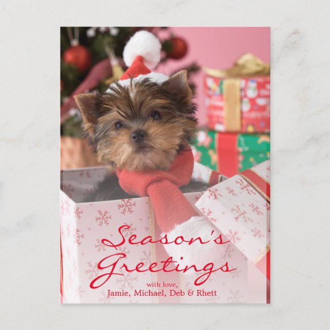 Cartes Pour Fêtes Annuelles Chiot et Noël 2 de Yorkshire Terrier (Devant)