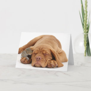Cartes Pour Fêtes Annuelles Chiot français de mastiff avec l'écureuil