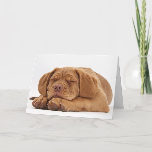 Cartes Pour Fêtes Annuelles Chiot français somnolent de mastiff (Devant)