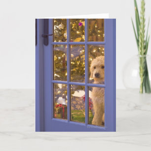 Cartes Pour Fêtes Annuelles Chiot Golden Doodle avec vue sur la porte en verre