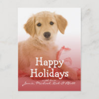 chiot Golden Retriever avec ruban