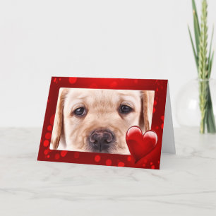 Cartes Pour Fêtes Annuelles Chiot jaune Valentine du Labrador