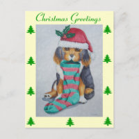 chiot noir et brun mignon vêtu pour noël