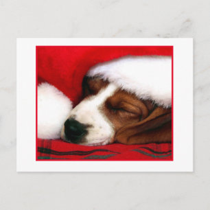 Cartes Pour Fêtes Annuelles Chiot paisible