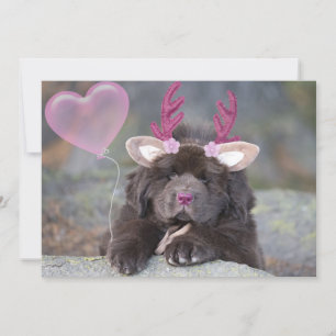 Cartes Pour Fêtes Annuelles Chiot Valentine