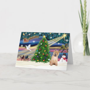 Cartes Pour Fêtes Annuelles Chiots Cairn Terrier de la Magie de Noël