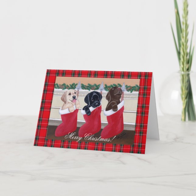 Cartes Pour Fêtes Annuelles Chiots de Noël Labrador (Devant)