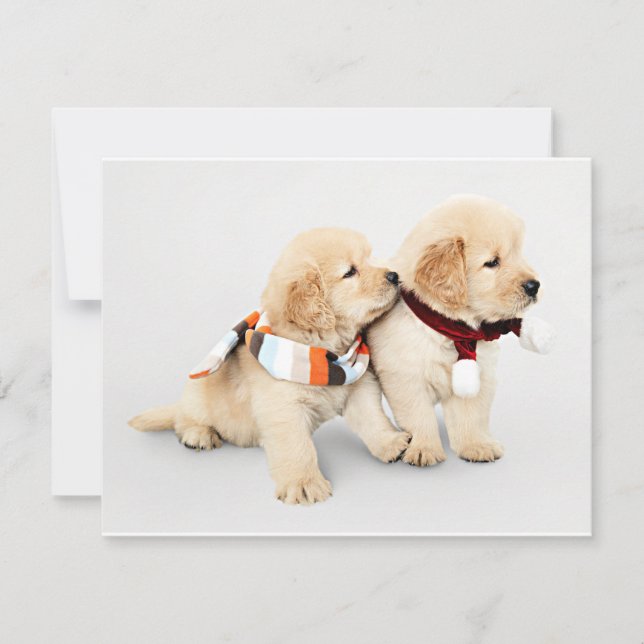Cartes Pour Fêtes Annuelles Chiots de repérage d'or (Devant)