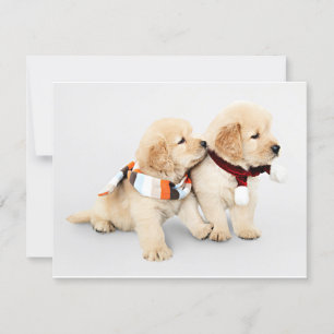 Cartes Pour Fêtes Annuelles Chiots de repérage d'or