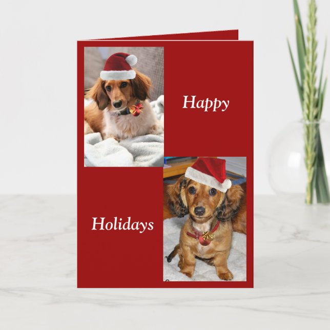 Cartes Pour Fêtes Annuelles chiots de ronni (Devant)