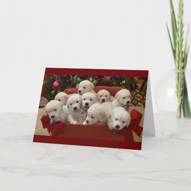 Cartes Pour Fêtes Annuelles Chiots heureux de golden retriever de vacances (Devant)