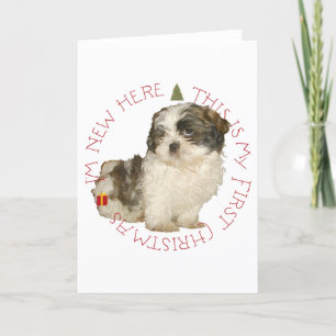 Cartes Pour Fêtes Annuelles Chiots Shih Tzu Premier Noël