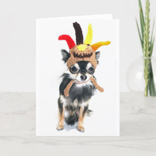 Cartes Pour Fêtes Annuelles Chiwawa de la Turquie de thanksgiving