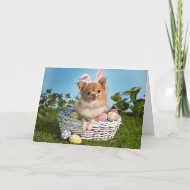Cartes Pour Fêtes Annuelles Chiwawa de Pâques (Devant)